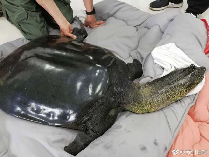 ýĪČx_R mⓌ