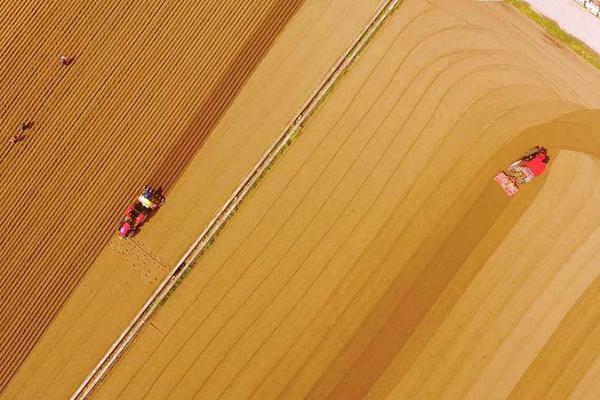 _30qِӢ~2010vʷ