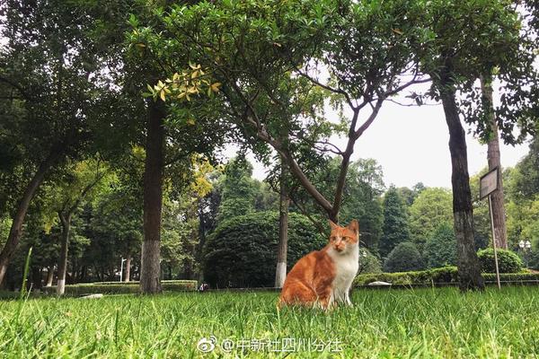 开云app官方版下载安装°