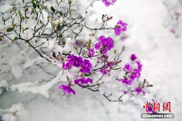 PG电子麻将胡了֙C