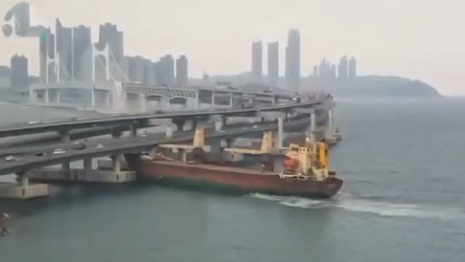 开云app官方版下载׿h