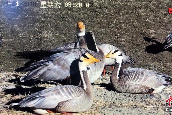 ]ֺSĺܿнYѿƠƝărՄ