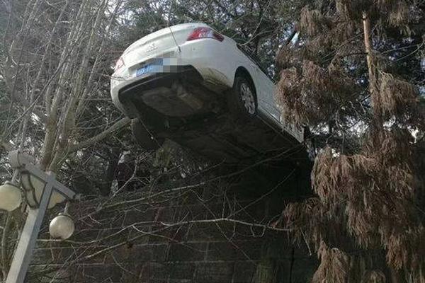 [԰]ĺoِ