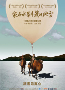 问鼎大舞台׿