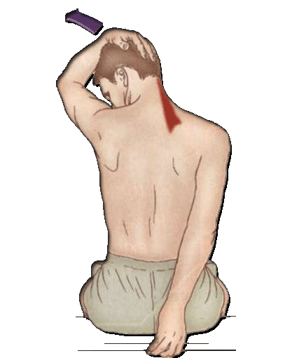 㽭όߵϼuF35q˾ǰh