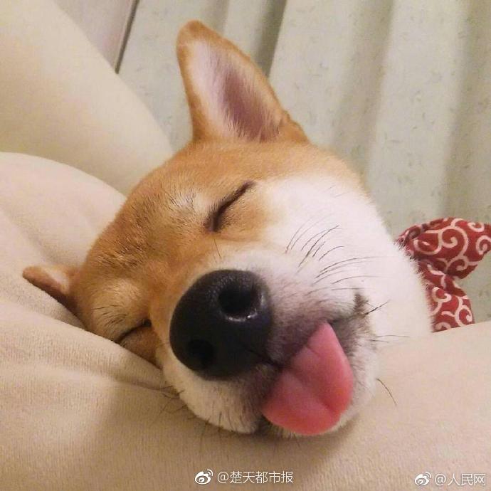 ml賿ِƝ؊WR