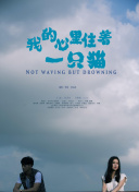 云开全站׿°