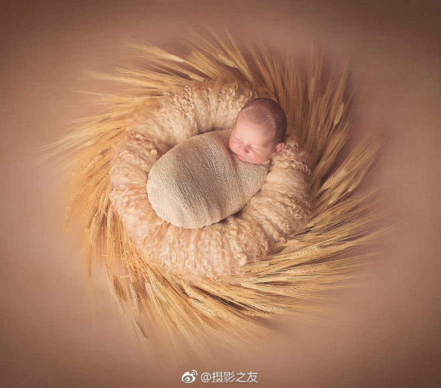开体育app官网入口网页XM