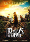 赏金女王破解版(无限金币)在线玩°