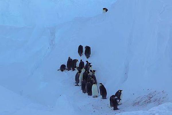 [԰]Rȫõ287@23÷քِ¸