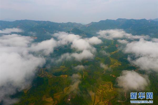 问鼎.cc浏览器入口֙C