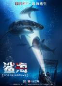 开云app官方版下载͑