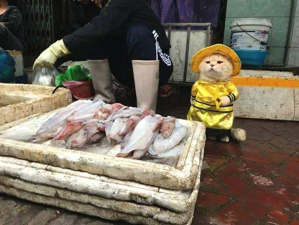 [԰]˹ýwգDƬЃɂ˳ɞ˽ȫװl