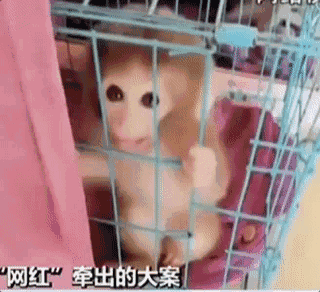 开体育app的官方网站入口׿M