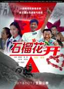33qϿˌӭ300̱ǰ2513+SꠊZ8