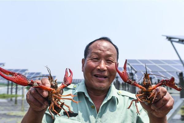 [԰]뉺TʿِMߪЂbõ139&55