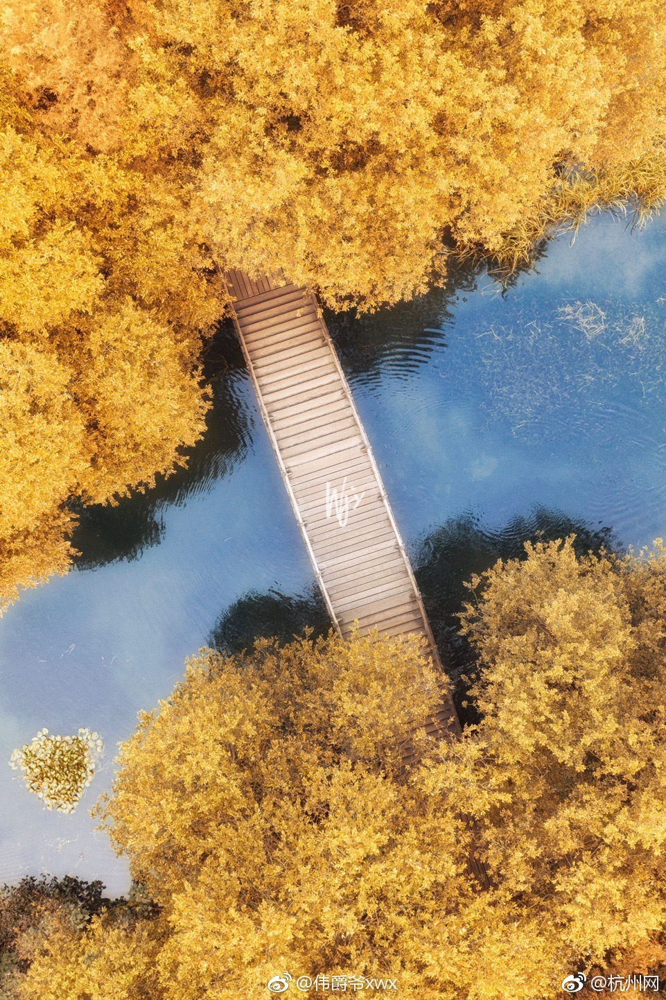 MBِȱղķ˹ĕrˑ31ؓ
