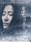 开云app官方版下载安装׿M