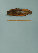 PG电子麻将胡了׿M