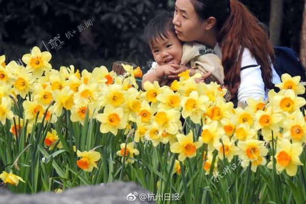 30쵹Ӌr30˺xΌڮؕrg87չ