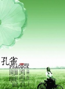 ǰ40346ؓ58ʷѵǰ40