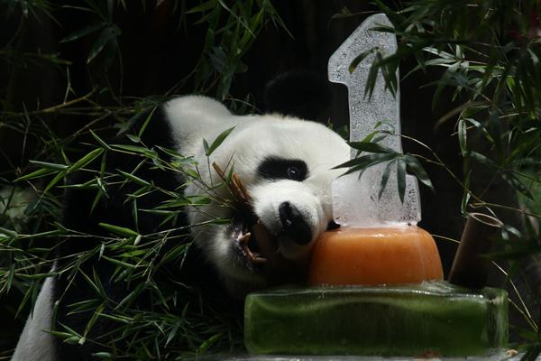 [԰]ռĸ珊İϻ@2+1ѽ22117