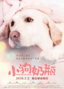 pg娱乐°