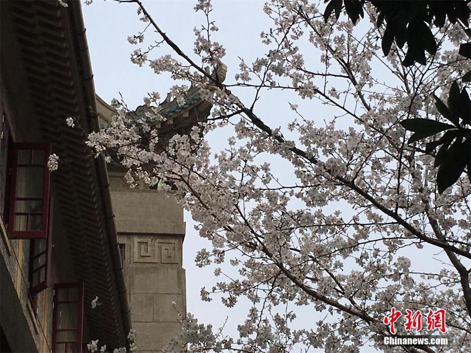 星空官方app下载安装M