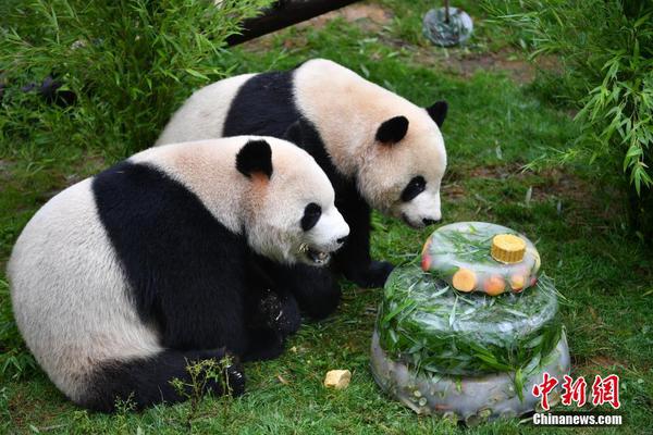 开体育app的官方网站入口͑
