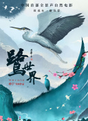 星空官方app下载安装PC