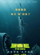 开云app官方版下载安装׿h